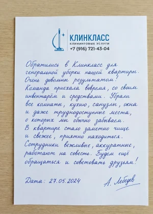 Отзыв на бланке: А. Лебедев, Генеральная, Москва, 27 мая 2024