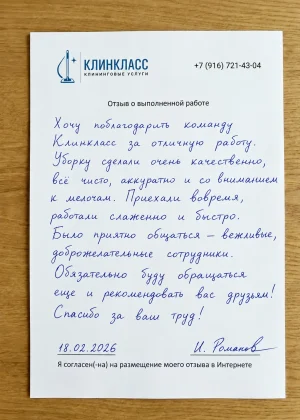 Отзыв на бланке: И. Романов, Поддерживающая, Москва, 18 февраля 2026